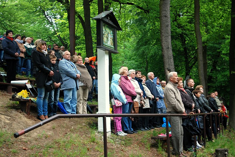 [Rozmiar: 174686 bajt�w]
