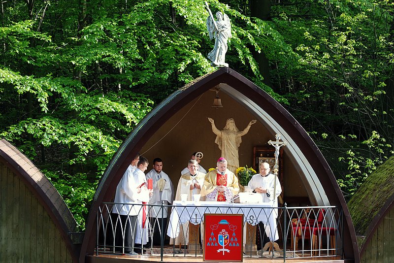 [Rozmiar: 196947 bajt�w]