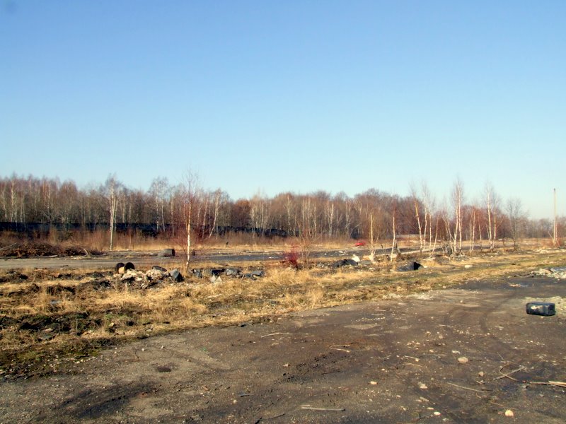 [Rozmiar: 104650 bajt�w]