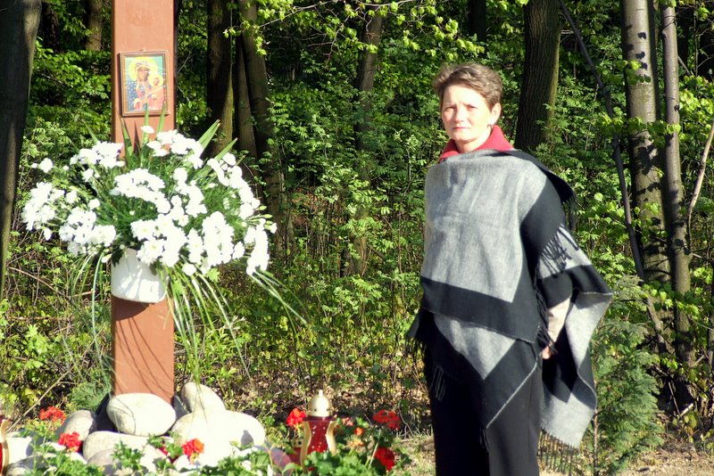 [Rozmiar: 185294 bajt�w]