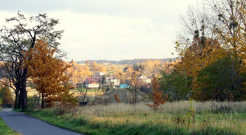 [Rozmiar: 127656 bajt�w]