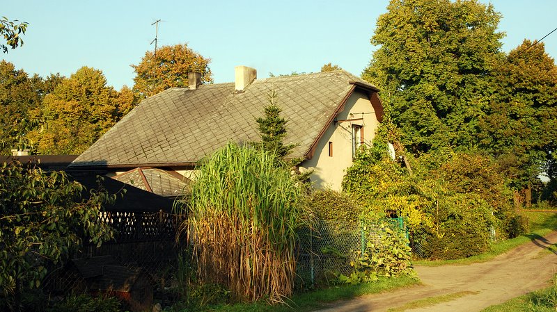 [Rozmiar: 154944 bajt�w]