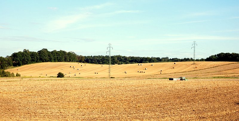 [Rozmiar: 99847 bajt�w]