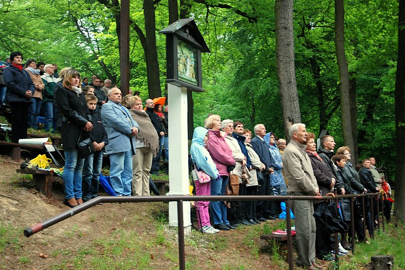 [Rozmiar: 178178 bajt�w]