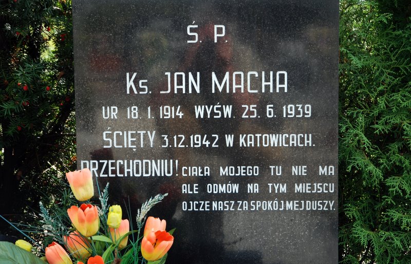 [Rozmiar: 144133 bajt�w]