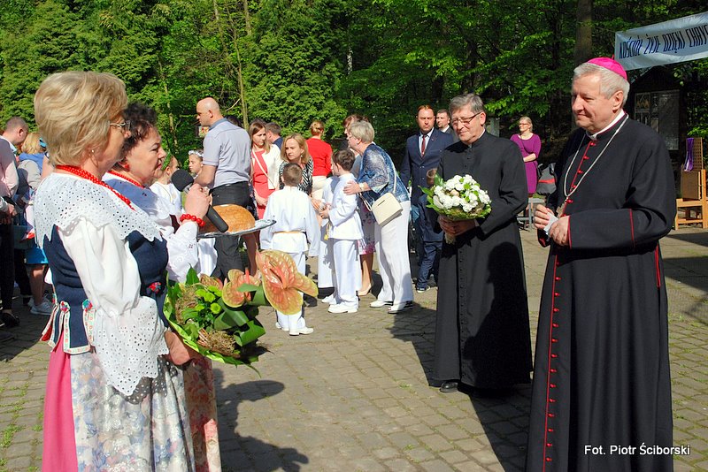 [Rozmiar: 154792 bajt�w]